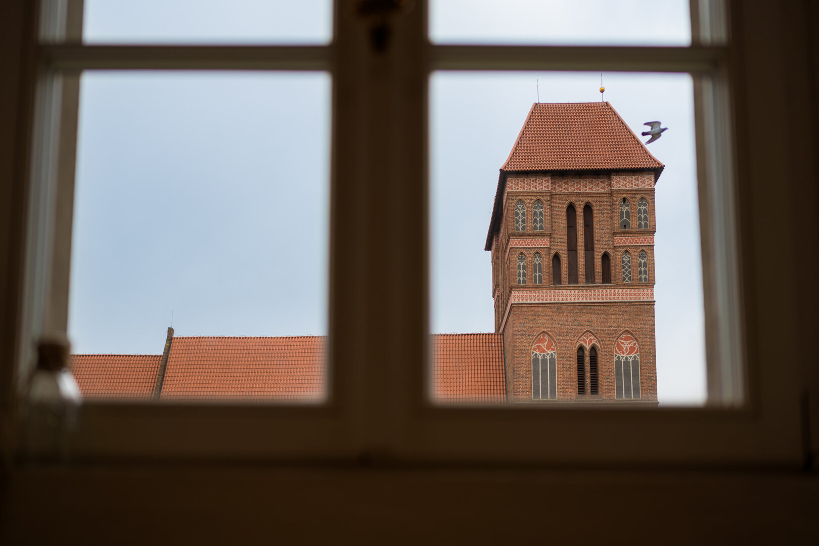 MENTALIS SPÓŁKA Z OGRANICZONĄ ODPOWIEDZIALNOŚCIĄ - 11